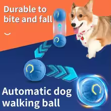 Pet Supplies